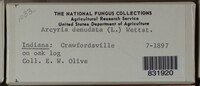 Image Associated With the Occurence